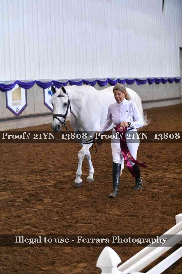 Proof Number 21YN_13808