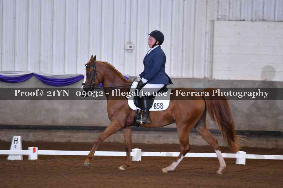 Proof Number 21YN_09032