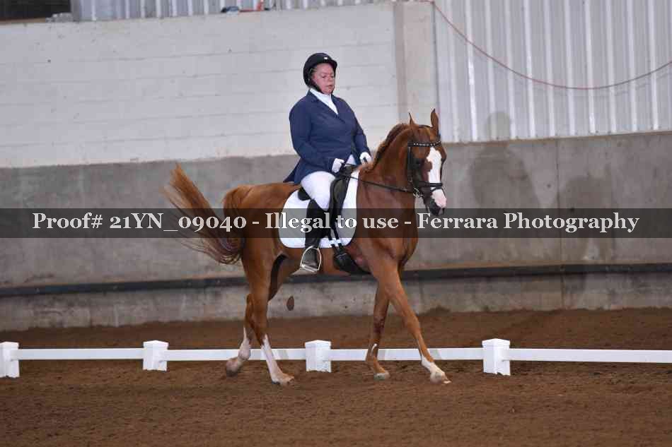 Proof Number 21YN_09040