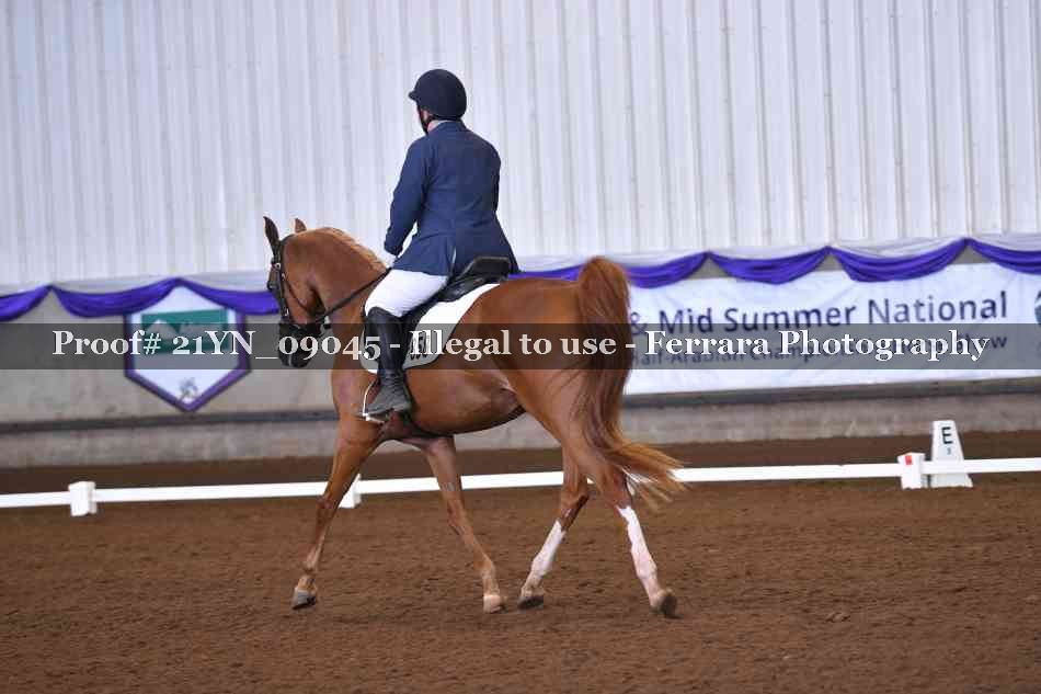 Proof Number 21YN_09045
