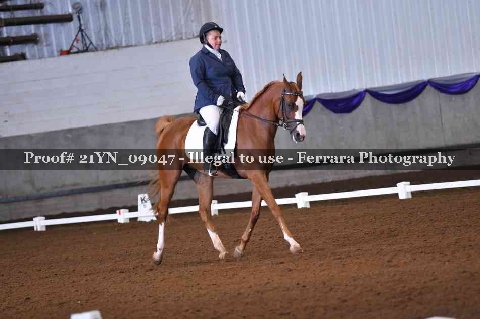 Proof Number 21YN_09047