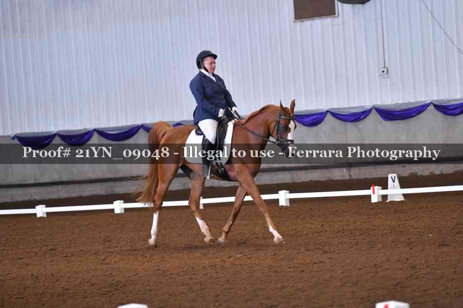 Proof Number 21YN_09048