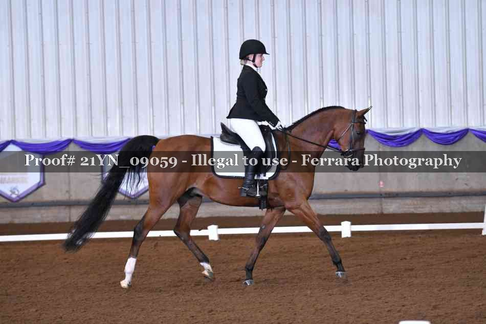 Proof Number 21YN_09059