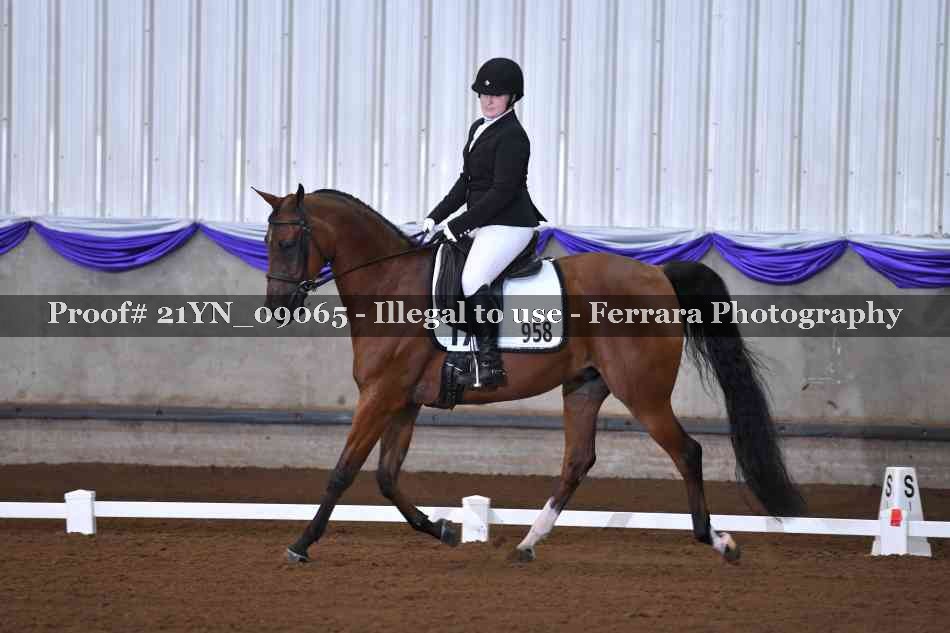 Proof Number 21YN_09065