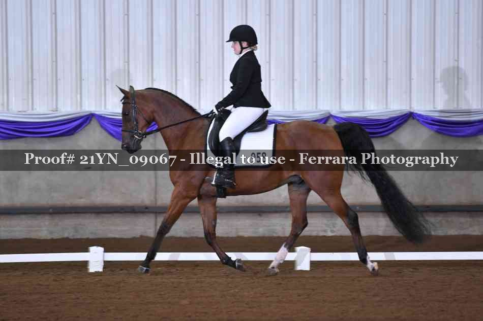 Proof Number 21YN_09067