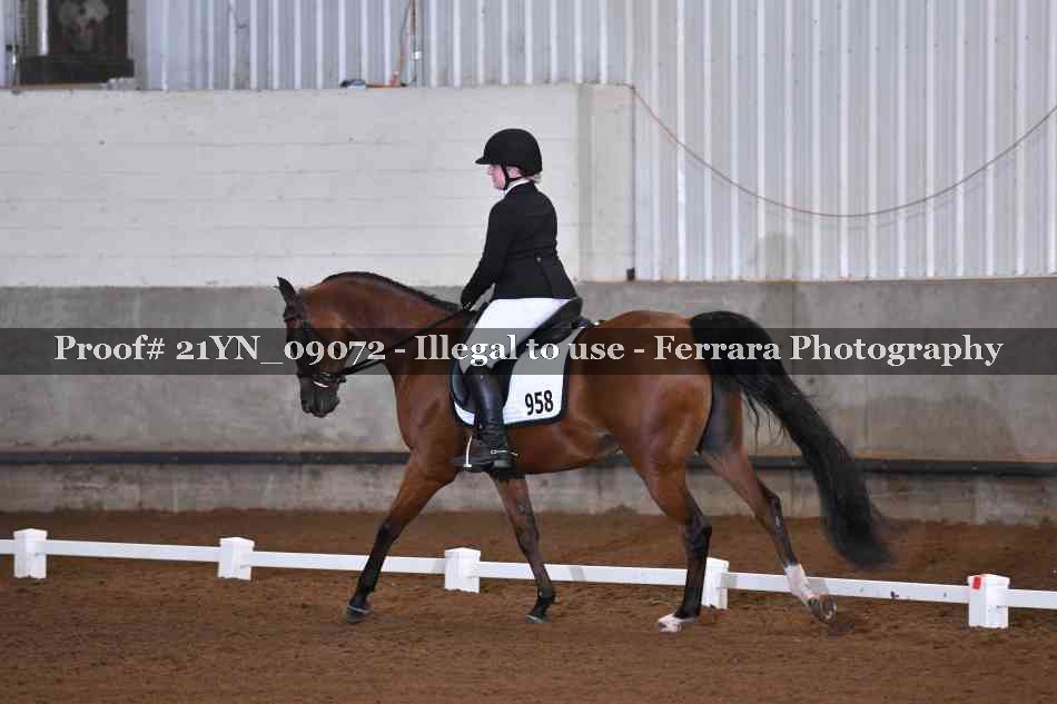 Proof Number 21YN_09072