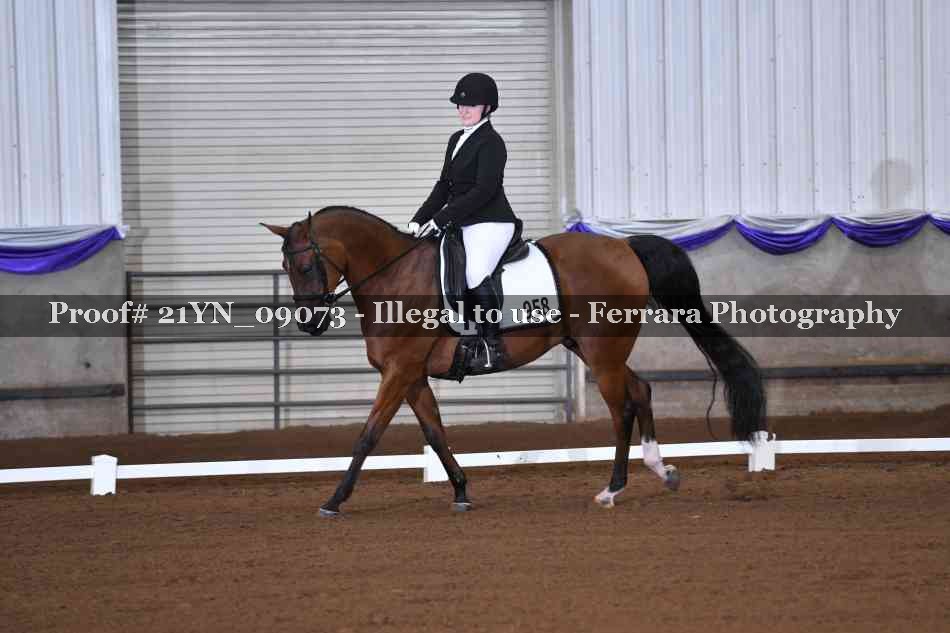 Proof Number 21YN_09073