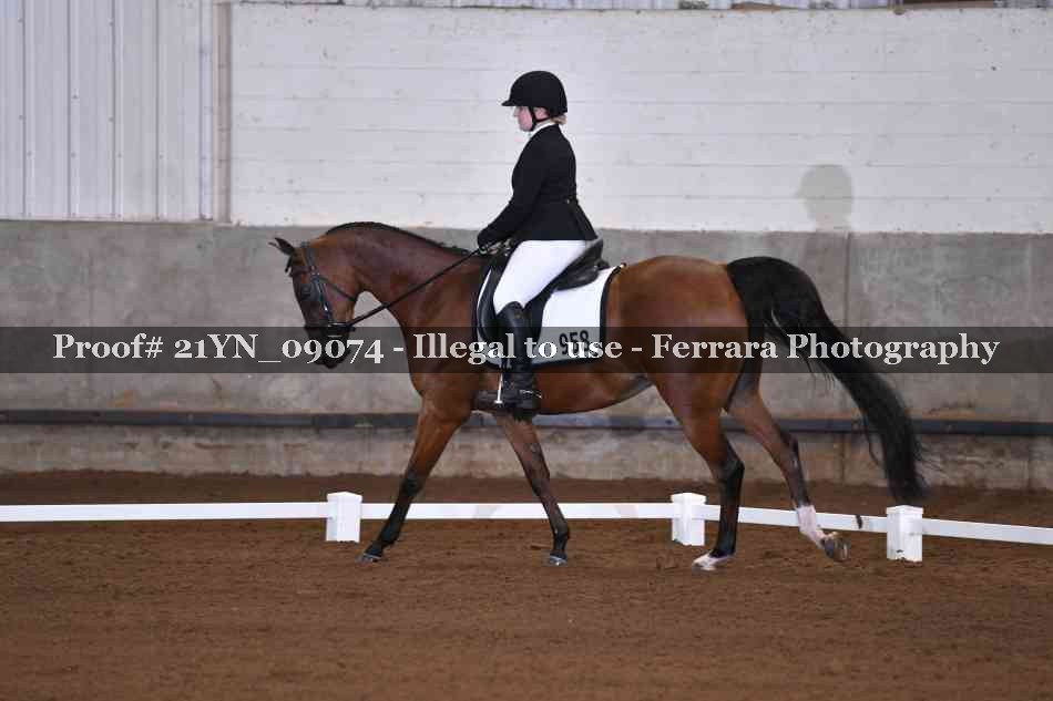 Proof Number 21YN_09074