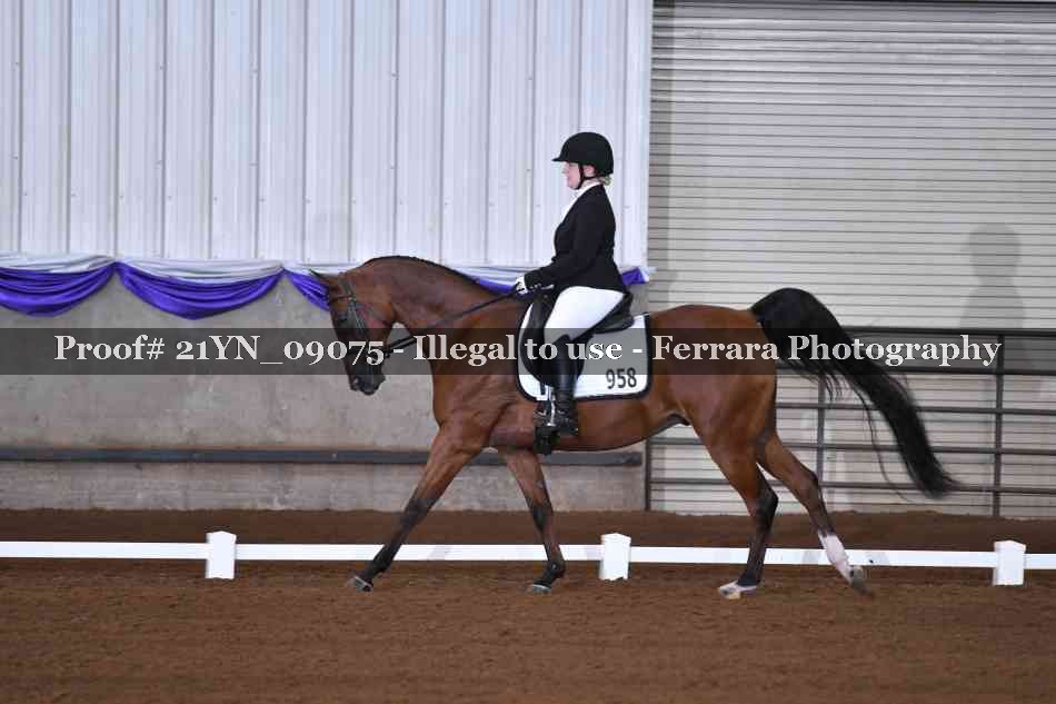 Proof Number 21YN_09075