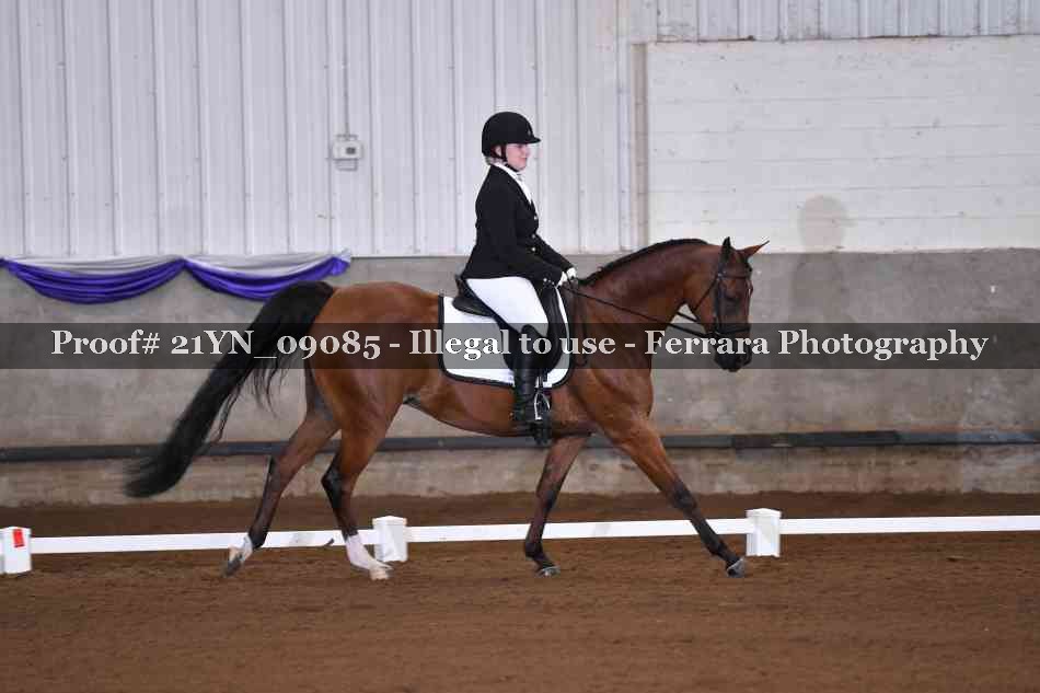 Proof Number 21YN_09085