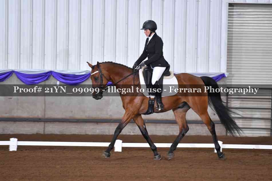 Proof Number 21YN_09099