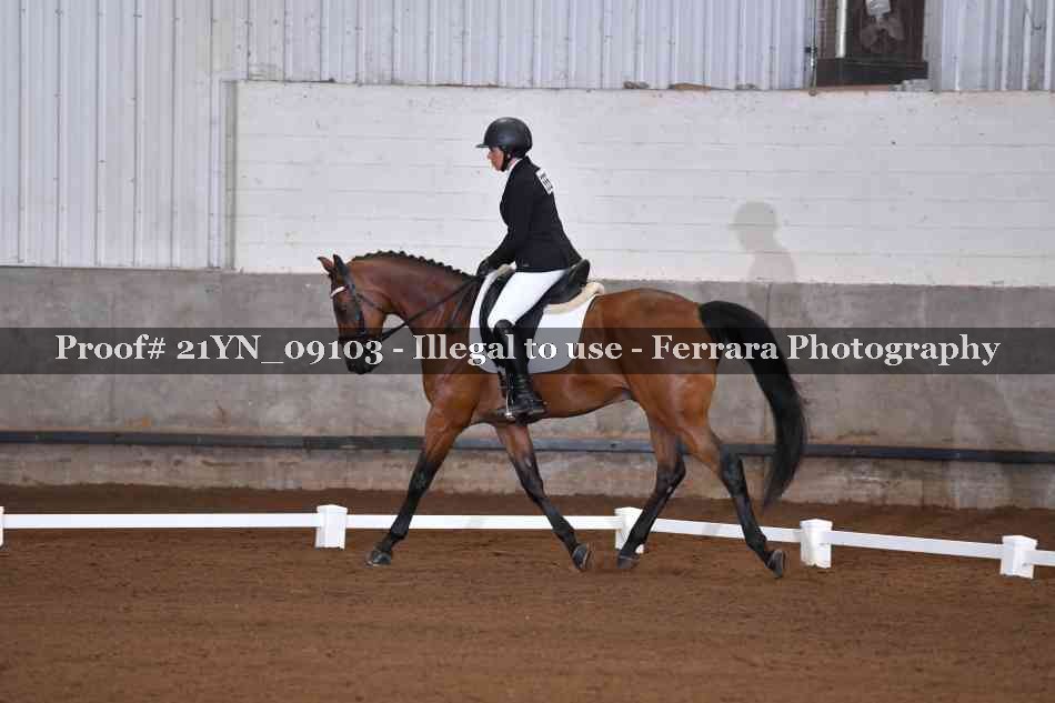 Proof Number 21YN_09103