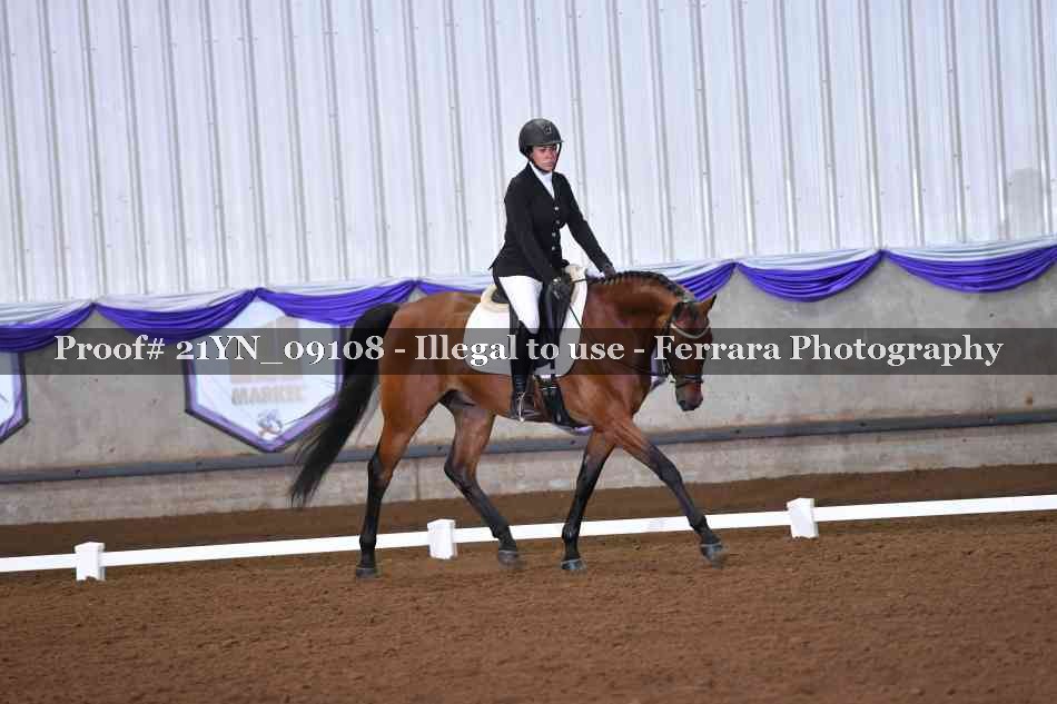 Proof Number 21YN_09108