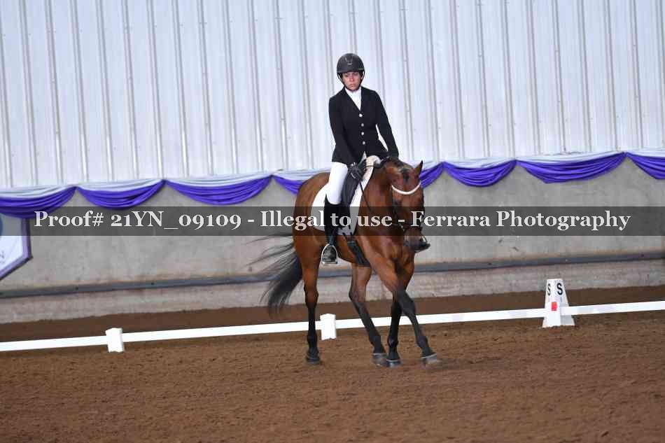 Proof Number 21YN_09109
