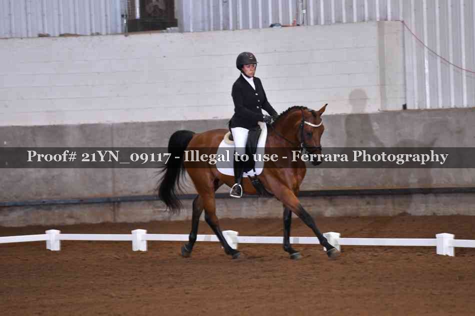 Proof Number 21YN_09117