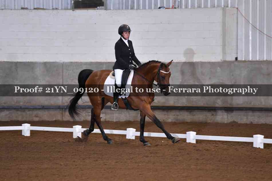 Proof Number 21YN_09120