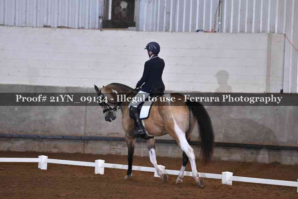 Proof Number 21YN_09134