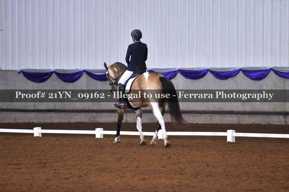 Proof Number 21YN_09162