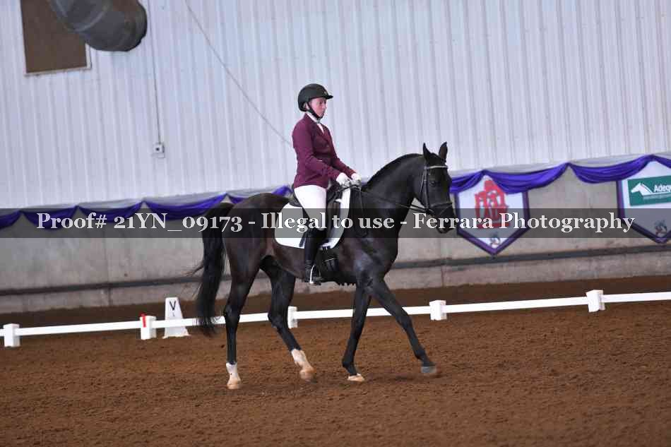 Proof Number 21YN_09173