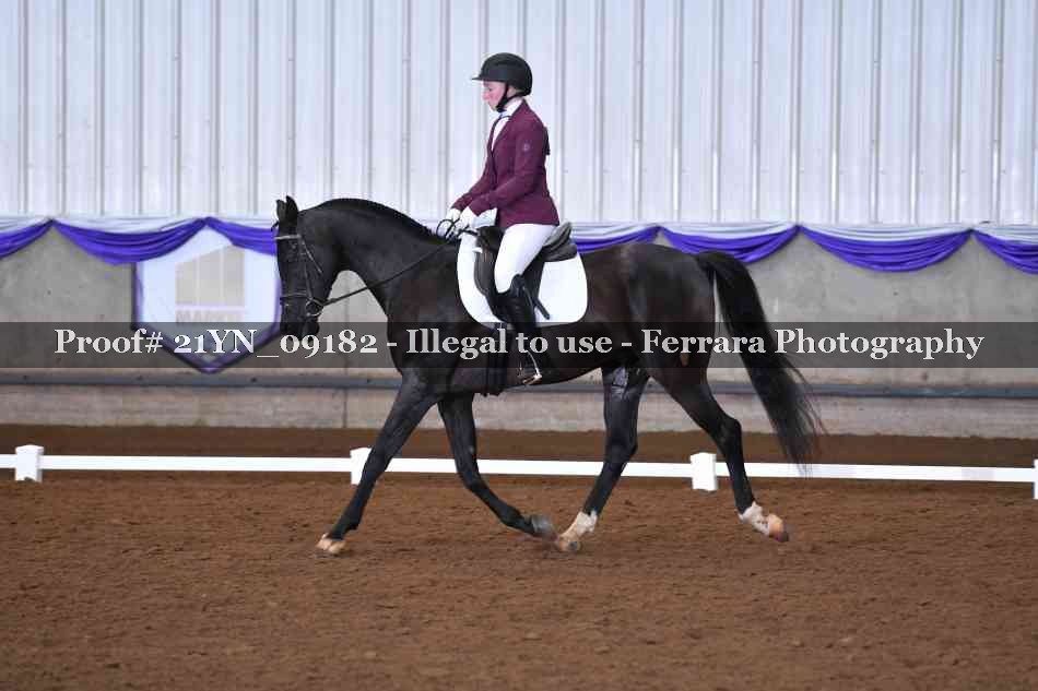 Proof Number 21YN_09182