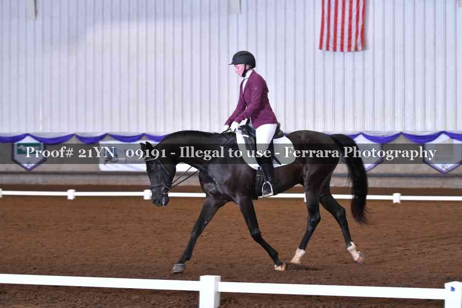 Proof Number 21YN_09191