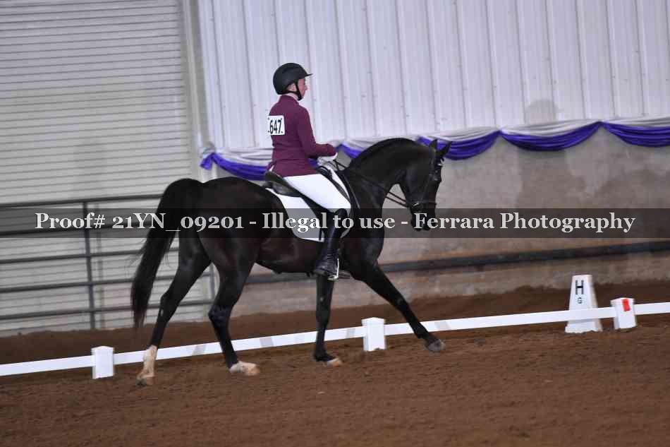 Proof Number 21YN_09201
