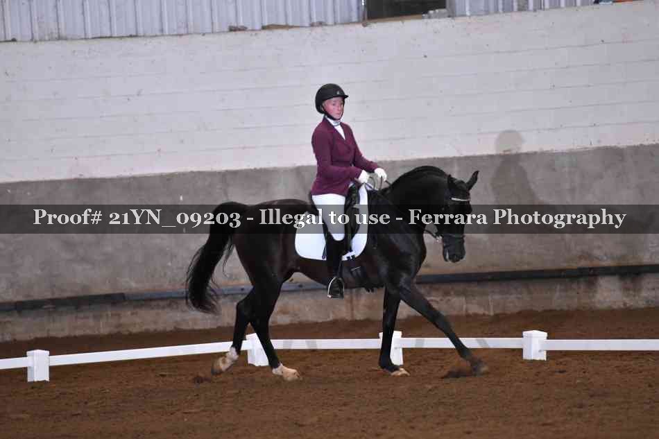 Proof Number 21YN_09203