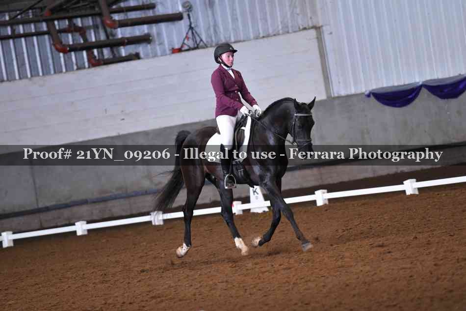 Proof Number 21YN_09206