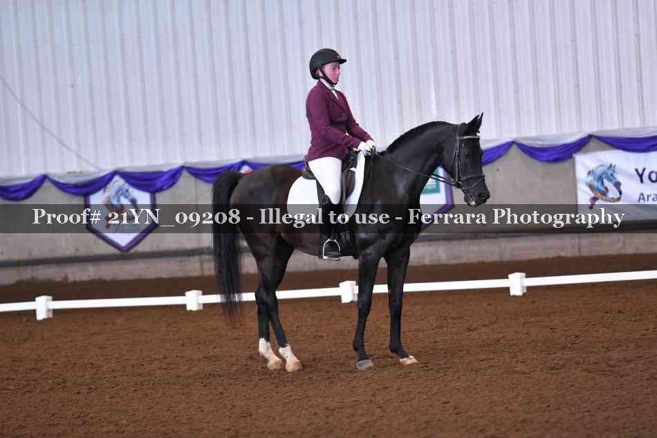 Proof Number 21YN_09208