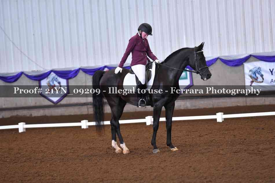 Proof Number 21YN_09209