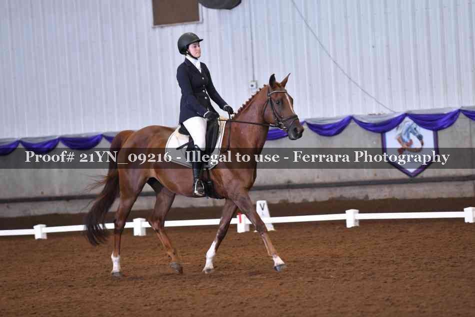 Proof Number 21YN_09216