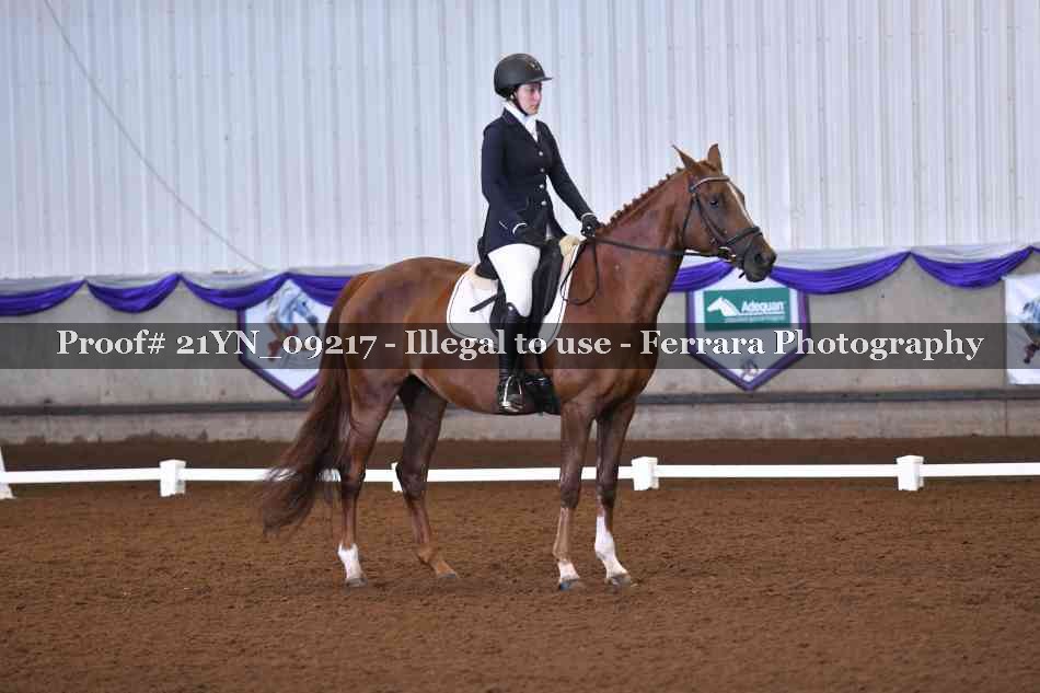 Proof Number 21YN_09217