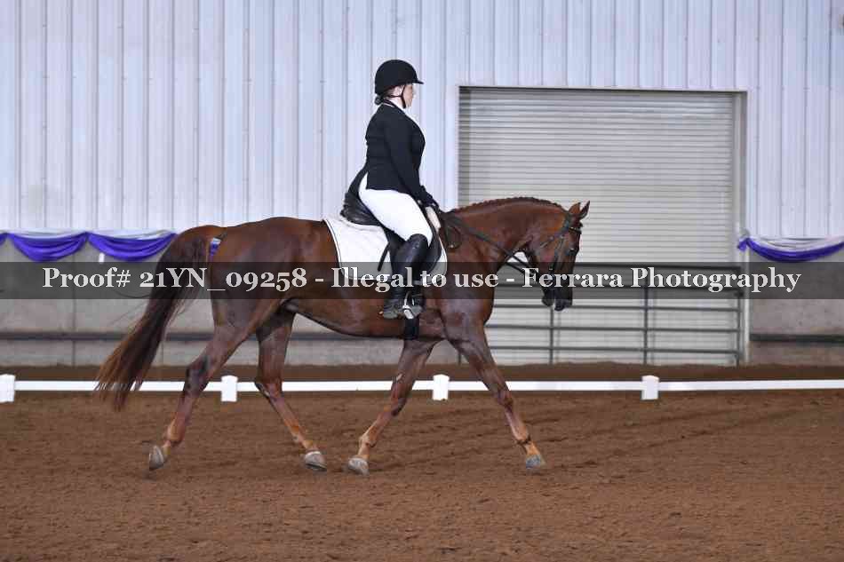 Proof Number 21YN_09258