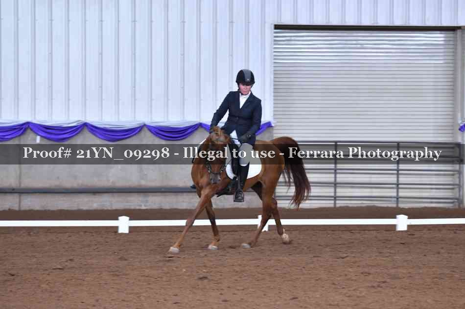 Proof Number 21YN_09298