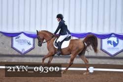 21YN_09300 thumbnail