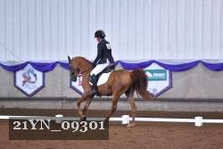 21YN_09301 thumbnail