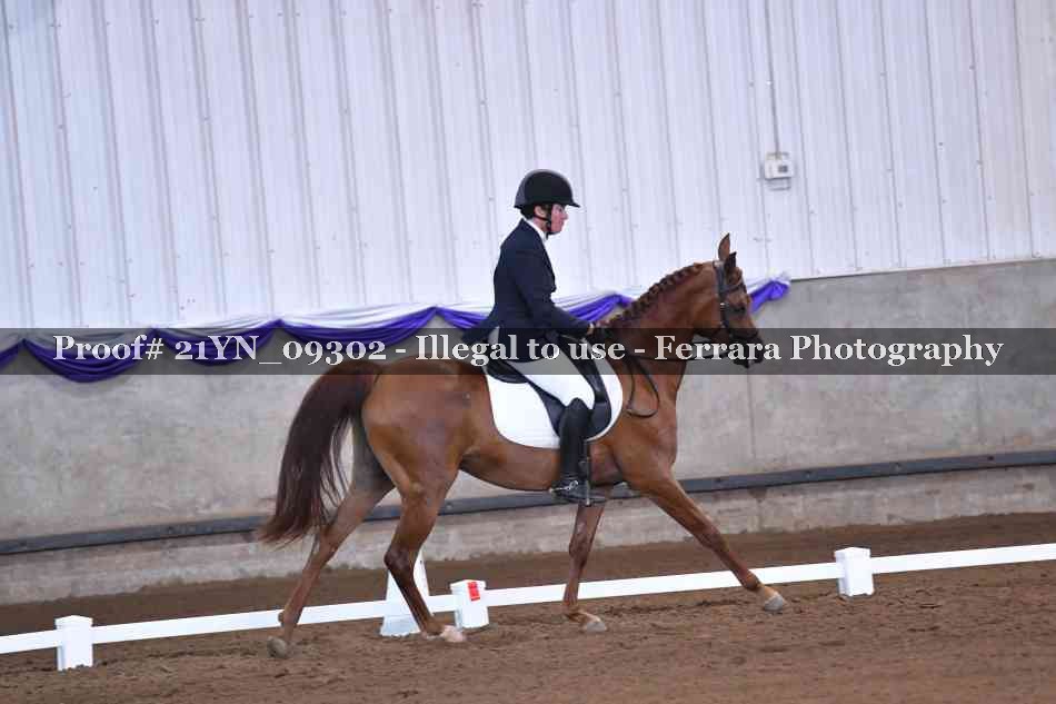 Proof Number 21YN_09302