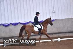21YN_09302 thumbnail