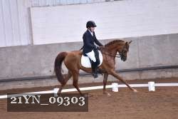 21YN_09303 thumbnail