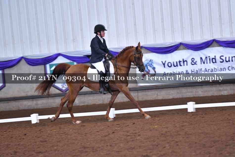 Proof Number 21YN_09304