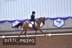 21YN_09305 thumbnail