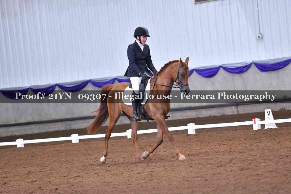 Proof Number 21YN_09307