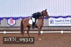 21YN_09313 thumbnail
