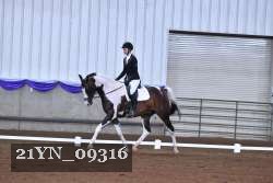 21YN_09316 thumbnail
