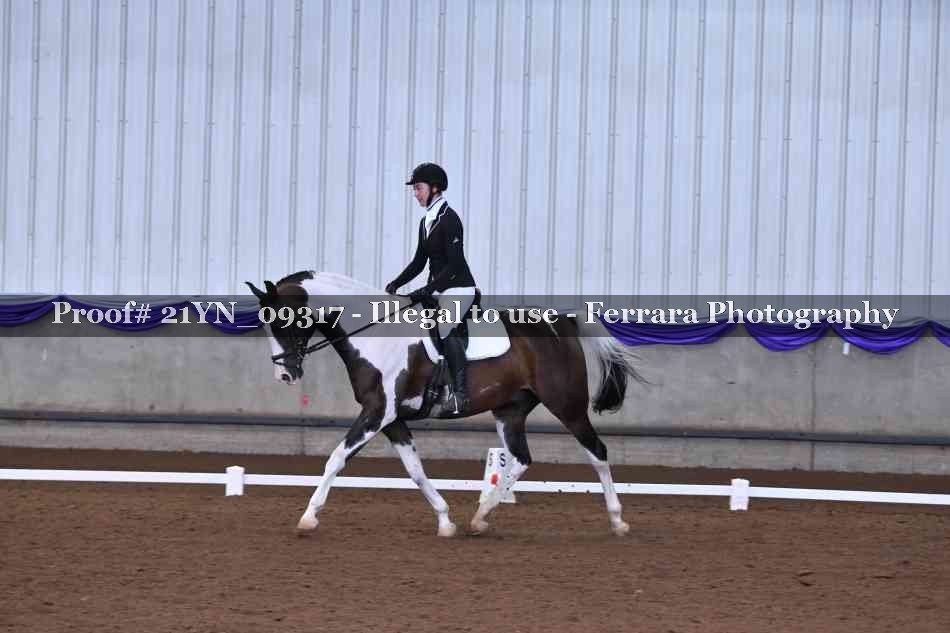 Proof Number 21YN_09317