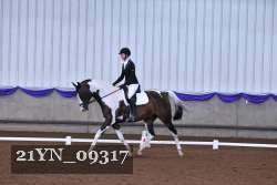 21YN_09317 thumbnail