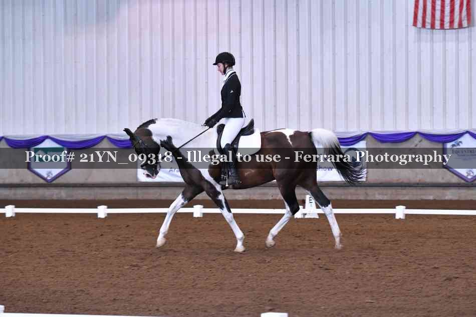 Proof Number 21YN_09318