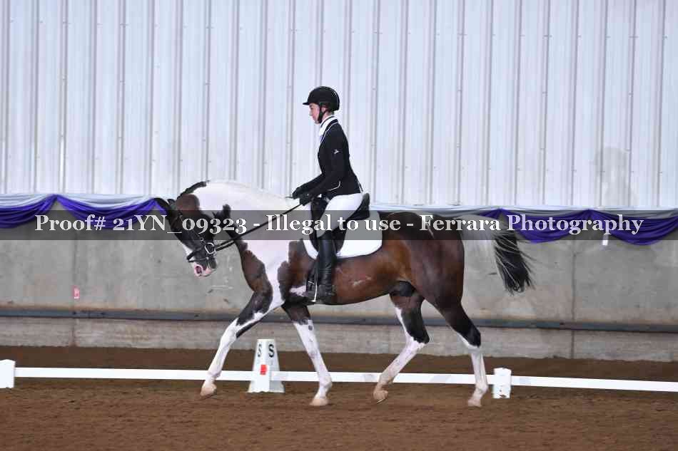 Proof Number 21YN_09323