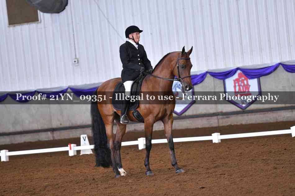 Proof Number 21YN_09351