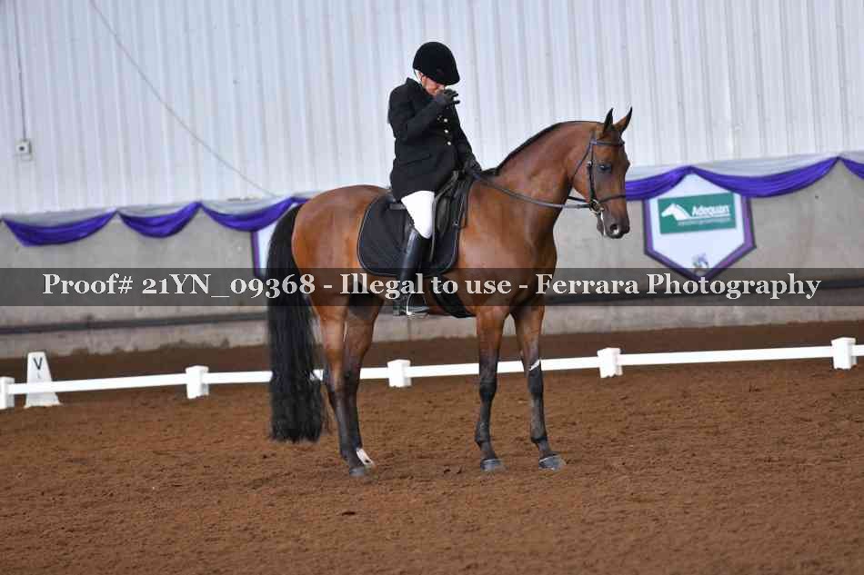 Proof Number 21YN_09368